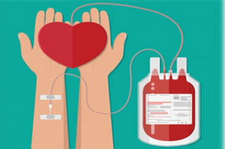 QAN DONORLÍǴI HÁPTELIGI