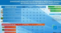 Определены направления подачи документов в филиал в 2023-2024 учебном году