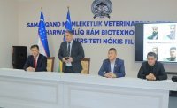 Идеи и стремления джадидов сегодня отражаются в нашей политике