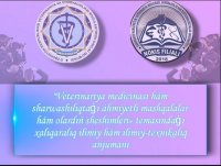 Xalıqaralıq ilimiy hám ilimiy-texnikalıq anjuman bolıp ótiwin málim etip bildiremiz