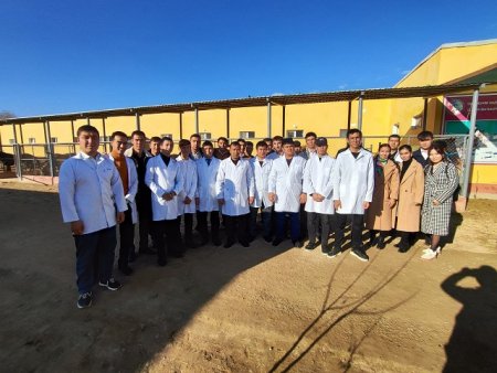 Ámeliy tájiriybeler arqalı studentlerdiń kásiplik kónlikpeleri qáliplespekte