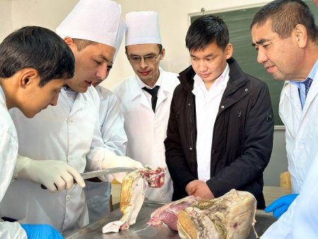 Jas veterinarlardıń kásiplik bilimleri bekkemlenip atır