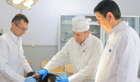 Iygilikli baslama astında filialda úy haywanlarına biypul veterinariya járdemi kórsetilmekte