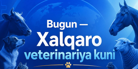 Xalqaro veterinariya kuni munosabati bilan samimiy tabrik!