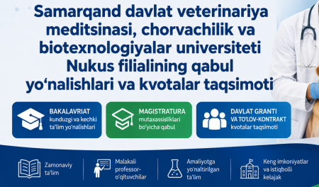 Magistratura mutaxassisliklari bo‘yicha qabul yo‘nalishlari